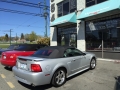 Silver Mustang 3